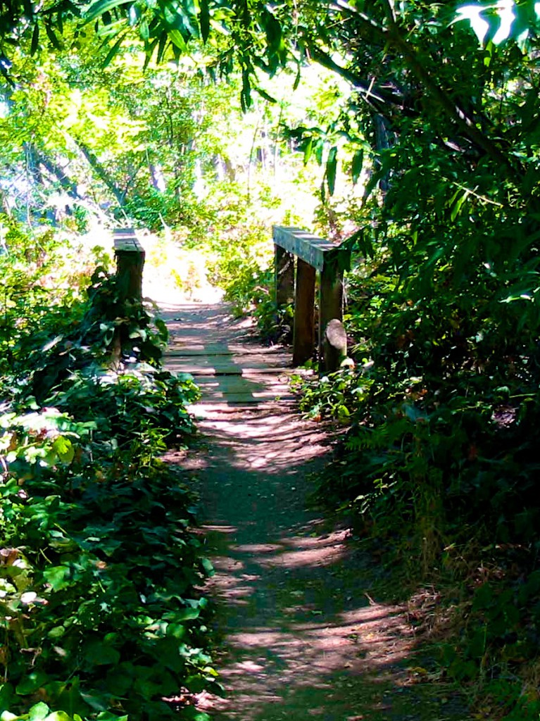 jedediah smith memorial trail